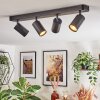 Foren Plafoniera, Faretto da soffitto LED Nero, 4-Luci, Cambia colore Foren Plafoniera, Faretto da soffitto LED Nero, 4-Luci, Cambia colore
