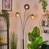 Koyoto Lampada a sfera, Lampada da terra Ambrato, Chiaro, Grigio fumo, 3-Luci