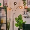 Koyoto Lampada a sfera, Lampada da terra Ambrato, Grigio fumo, 3-Luci