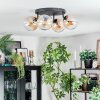 Gastor Plafoniera, Lampada a sfera Ambrato, Chiaro, 4-Luci Gastor Plafoniera, Lampada a sfera Ambrato, Chiaro, 4-Luci
