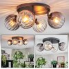 Koyoto Plafoniera, Lampada a sfera Ambrato, Chiaro, Grigio fumo, 4-Luci