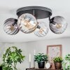 Koyoto Plafoniera, Lampada a sfera Ambrato, Chiaro, Grigio fumo, 4-Luci
