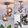 Chehalis Plafoniera, Lampada a sfera 27 cm Cromo, Chiaro, Grigio fumo, 4-Luci