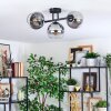 Koyoto Plafoniera, Lampada a sfera Chiaro, Grigio fumo, 3-Luci