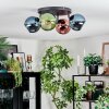 Koyoto Plafoniera, Lampada a sfera Blu, Verde, Ramato, 4-Luci