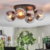 Gastor Plafoniera, Lampada a sfera Cromo, Chiaro, Grigio fumo, 4-Luci