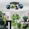 Gastor Plafoniera, Lampada a sfera Blu, Cromo, Verde, Grigio fumo, 4-Luci
