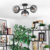 Koyoto Plafoniera, Lampada a sfera Chiaro, Grigio fumo, 3-Luci