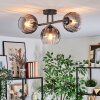 Koyoto Plafoniera, Lampada a sfera Chiaro, Grigio fumo, 3-Luci
