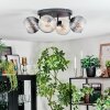 Koyoto Plafoniera, Lampada a sfera Ambrato, Chiaro, Grigio fumo, 4-Luci
