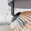 Koyoto Plafoniera, Lampada a sfera Ambrato, Chiaro, Grigio fumo, 4-Luci