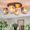 Koyoto Plafoniera, Lampada a sfera Ambrato, Chiaro, Grigio fumo, 4-Luci