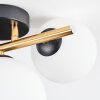 Chehalis Plafoniera, Lampada a sfera Oro, Nero, 3-Luci