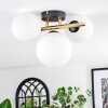 Chehalis Plafoniera, Lampada a sfera Oro, Nero, 3-Luci