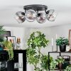 Koyoto Plafoniera, Lampada a sfera Chiaro, Grigio fumo, 4-Luci