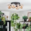 Koyoto Plafoniera, Lampada a sfera Ambrato, 4-Luci