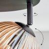 Koyoto Plafoniera, Lampada a sfera Ambrato, 4-Luci