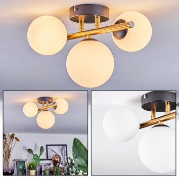 Chehalis Plafoniera, Lampada a sfera Oro, Nero, 3-Luci