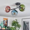Gastor Plafoniera, Lampada a sfera Blu, Verde, Chiaro, Ramato, 3-Luci