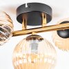 Chehalis Plafoniera, Lampada a sfera Oro, Nero, 3-Luci