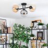 Gastor Plafoniera, Lampada a sfera Ambrato, Chiaro, Grigio fumo, 3-Luci
