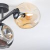 Ripoll Plafoniera, Lampada a sfera Ambrato, Grigio fumo, 3-Luci