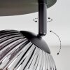 Ripoll Plafoniera, Lampada a sfera Ambrato, Grigio fumo, 4-Luci
