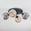 Ripoll Plafoniera, Lampada a sfera Ambrato, Grigio fumo, 4-Luci
