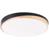 Illuminazione Brilliant Baarlo Plafoniera LED Nero, 1-Luce, Telecomando