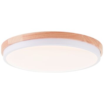 Illuminazione Brilliant Baarlo Plafoniera LED Bianco, 1-Luce