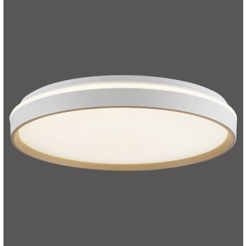 Illuminazione Paul Neuhaus MIO Plafoniera LED Sabbia, 1-Luce, Telecomando