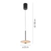 Illuminazione Paul Neuhaus ELIPSA Lampada a sospensione LED Nero, 1-Luce