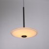 Illuminazione Paul Neuhaus ELIPSA Lampada a sospensione LED Nero, 1-Luce