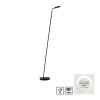 Illuminazione Paul Neuhaus BENTE Lampada da terra LED Nero, 1-Luce