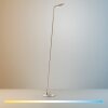 Illuminazione Paul Neuhaus BENTE Lampada da terra LED Ottone, 1-Luce