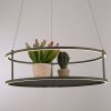 Illuminazione Paul Neuhaus CONNI Lampada a sospensione LED Nero, 2-Luci