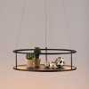 Illuminazione Paul Neuhaus CONNI Lampada a sospensione LED Nero, 2-Luci