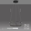 Illuminazione Paul Neuhaus CONNI Lampada a sospensione LED Nero, 2-Luci