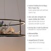 Illuminazione Paul Neuhaus CONNI Lampada a sospensione LED Nero, 2-Luci