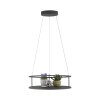 Illuminazione Paul Neuhaus CONNI Lampada a sospensione LED Nero, 2-Luci