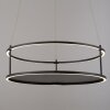 Illuminazione Paul Neuhaus CONTURA Lampada a sospensione LED Nero, 2-Luci