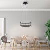 Illuminazione Paul Neuhaus CONTURA Lampada a sospensione LED Nero, 2-Luci