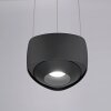 Paul Neuhaus Q-Serie Q-STRETTO Lampada a sospensione LED Nero, 2-Luci, Telecomando