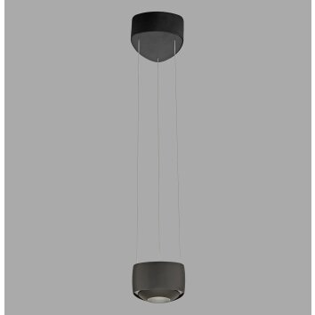 Paul Neuhaus Q-Serie Q-STRETTO Lampada a sospensione LED Nero, 2-Luci, Telecomando