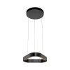 Paul Neuhaus Q-Serie Q-STRETTO Lampada a sospensione LED Nero, 2-Luci, Telecomando