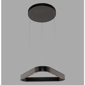 Paul Neuhaus Q-Serie Q-STRETTO Lampada a sospensione LED Nero, 2-Luci, Telecomando