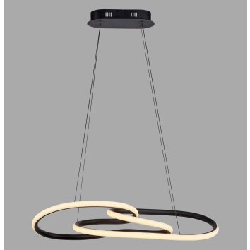 Illuminazione Paul Neuhaus TWIST Lampada a sospensione LED Nero, 1-Luce