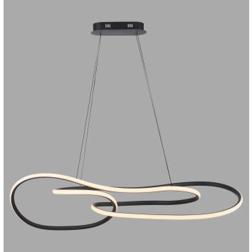 Illuminazione Paul Neuhaus TWIST Lampada a sospensione LED Nero, 1-Luce