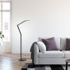 Illuminazione Paul Neuhaus SAMSKY Lampada da terra LED Grigio, 1-Luce