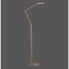 Illuminazione Paul Neuhaus SAMSKY Lampada da terra LED Bronzo, 1-Luce